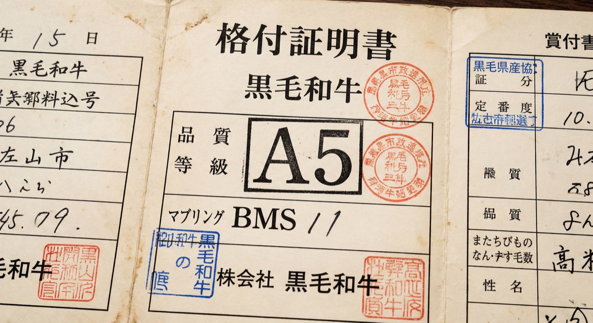 Japanese beef grading certificate showing BMS marbling score and quality ratings